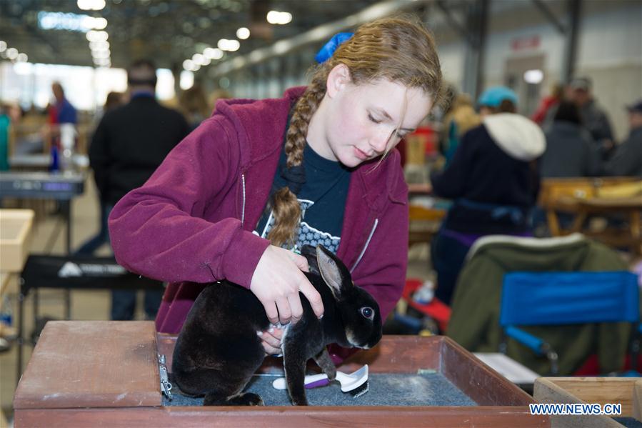 U.S.-TEXAS-FORT WORTH-STOCK SHOW AND RODEO