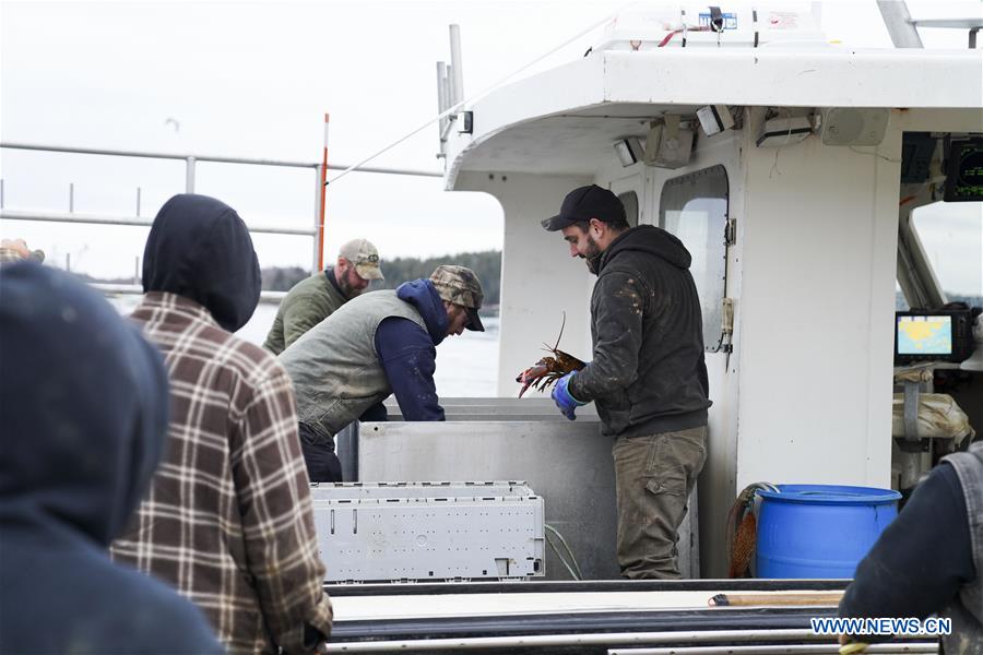 U.S.-MAINE-STONINGTON-LOBSTER INDUSTRY-CHINESE MARKET