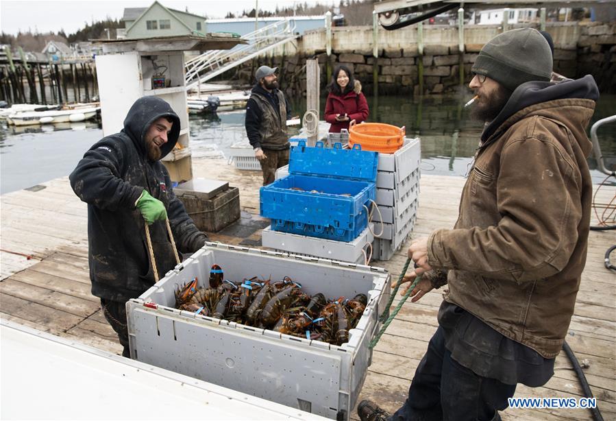 U.S.-MAINE-STONINGTON-LOBSTER INDUSTRY-CHINESE MARKET