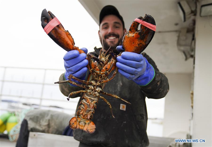 U.S.-MAINE-STONINGTON-LOBSTER INDUSTRY-CHINESE MARKET