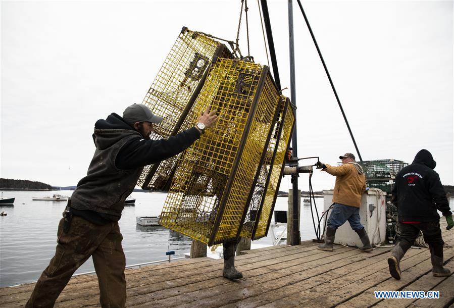 U.S.-MAINE-STONINGTON-LOBSTER INDUSTRY-CHINESE MARKET