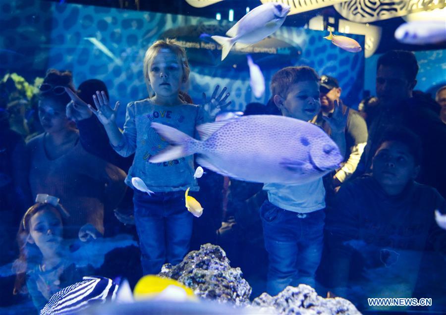 U.S.-CHICAGO-SHEDD AQUARIUM