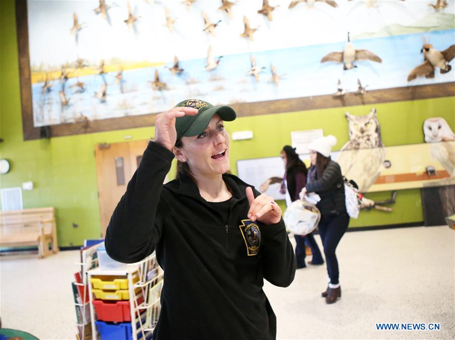 U.S.-PENNSYLVANIA-LANCASTER COUNTY-SNOW GOOSE-MIGRATION
