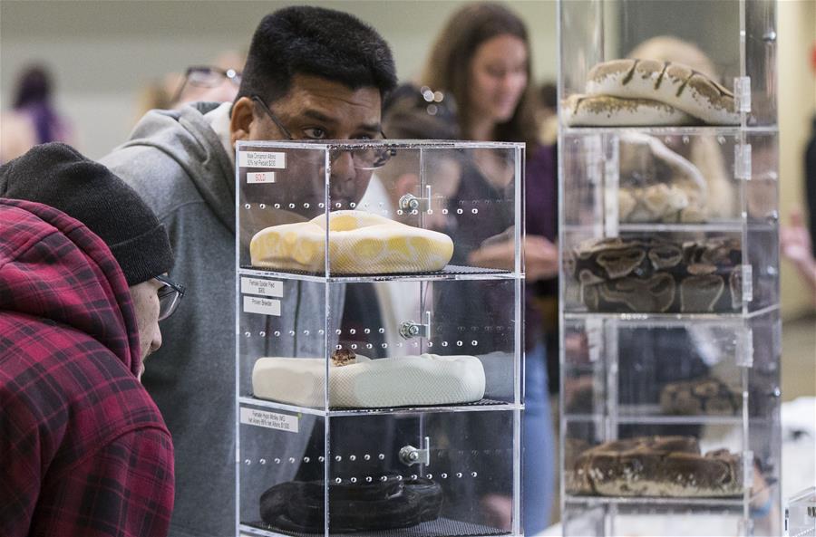 CANADA-TORONTO-REPTILE EXPO