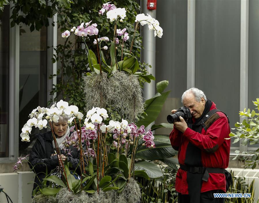 U.S.-GLENCOE-CHICAGO BOTANIC GARDEN-ORCHID SHOW 