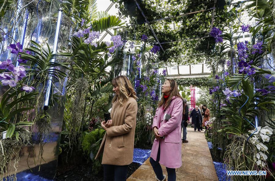 U.S.-GLENCOE-CHICAGO BOTANIC GARDEN-ORCHID SHOW 