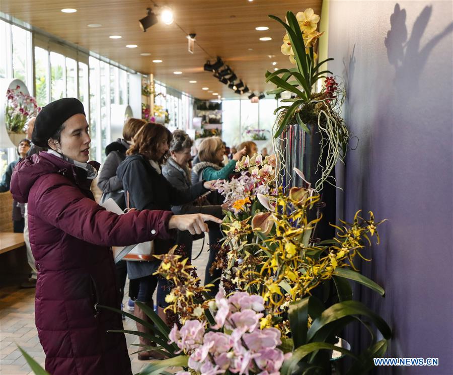 U.S.-GLENCOE-CHICAGO BOTANIC GARDEN-ORCHID SHOW 