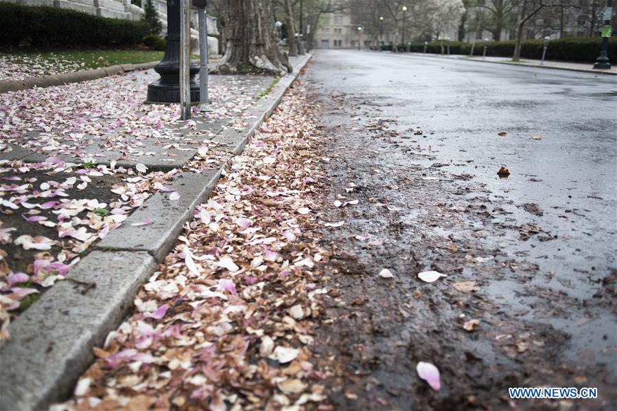 U.S.-WASHINGTON D.C.-COVID-19-CASES