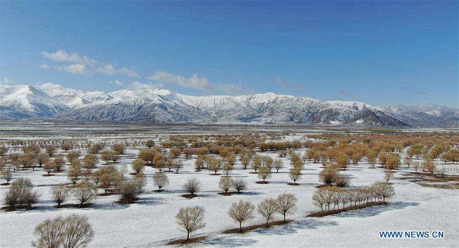 CHINA-TIBET-YARLUNG ZANGBO RIVER-SNOW SCENERY (CN)