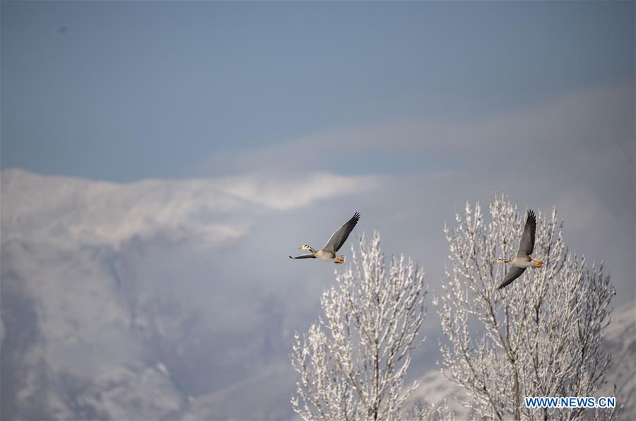 CHINA-TIBET-YARLUNG ZANGBO RIVER-SNOW SCENERY (CN)