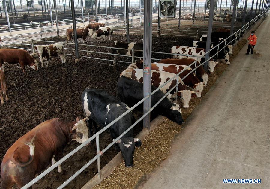 CHINA-HENAN-HUAIBIN-POVERTY RELIEF INDUSTRIES (CN)