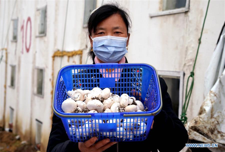 CHINA-HENAN-HUAIBIN-POVERTY RELIEF INDUSTRIES (CN)