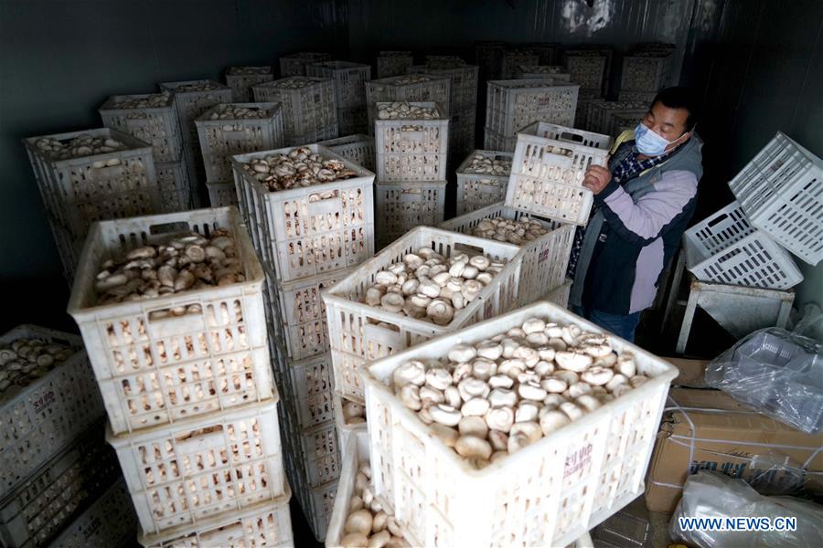 CHINA-HENAN-HUAIBIN-POVERTY RELIEF INDUSTRIES (CN)