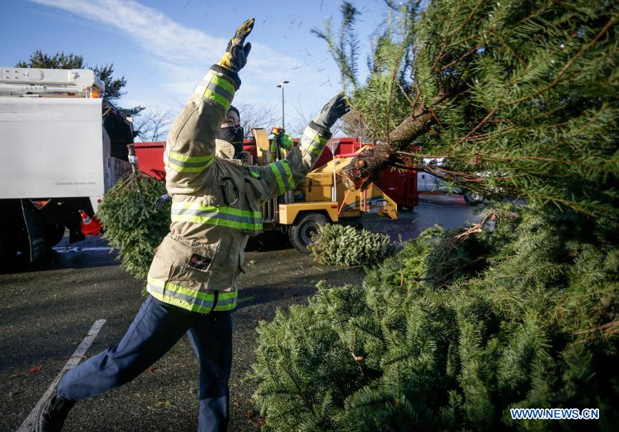 Firefighters volunteer to help residents recycle Christmas trees at