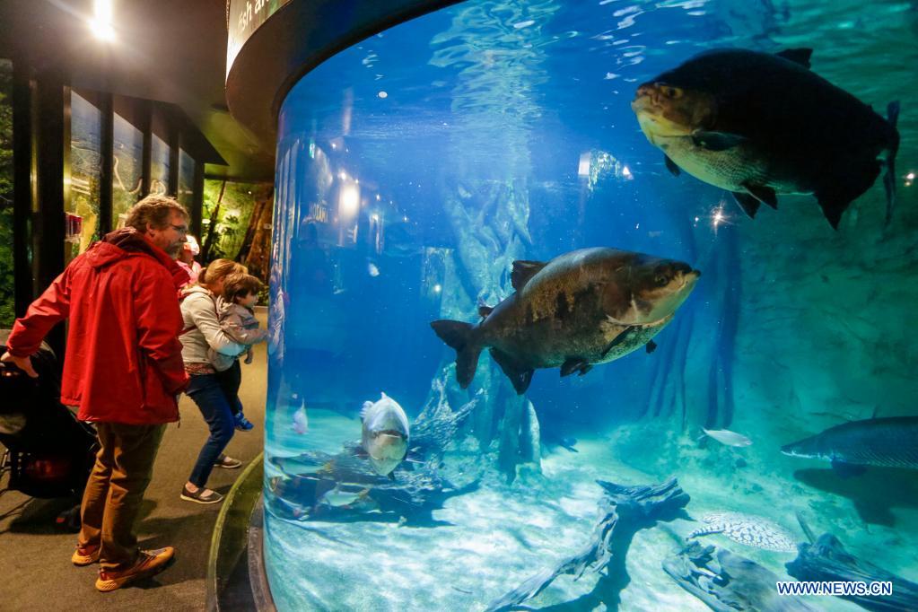 Vancouver Aquarium reopens to public Xinhua English.news.cn