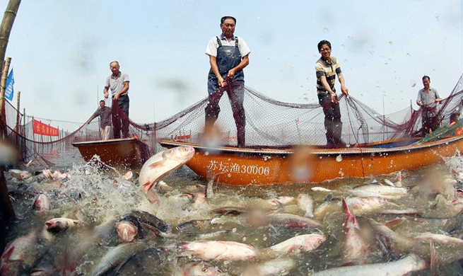 Fishermen restart fishing on Changdang Lake after 20-month fishing ban