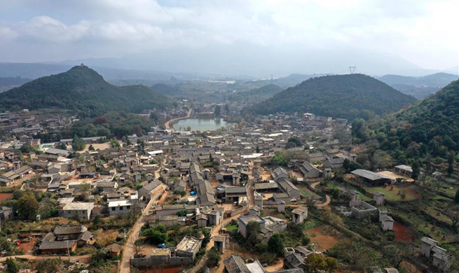 Danuohei Village prospers by green growth, sustainable development