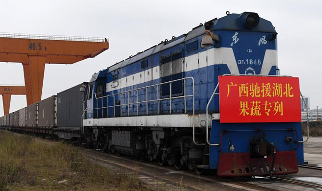 Daily necessities sent to Hubei to aid novel coronavirus fight