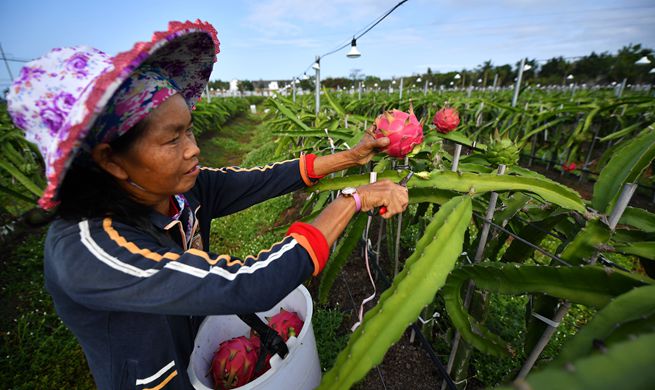 Xinhua Headlines: China determined to win battle against poverty despite epidemic