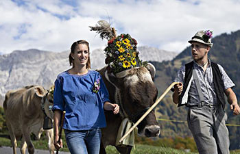 Local herdsmen celebrate Desalpe festival in Switzerland