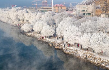 Rime scenery at bank of Songhuajiang River in Jilin