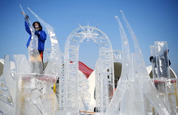 In pics: international ice sculpture competition in Harbin