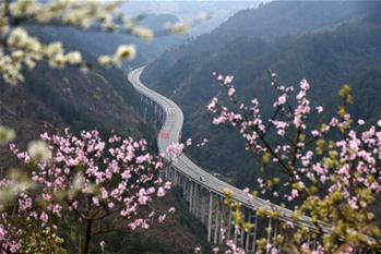 In pics: blooming flowers along Sijian expressway in SW China's Guizhou