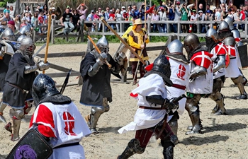 World championship of medieval combat held near Kiev, Ukraine