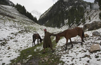 In pics: snowfall in Sonmarg, Indian-controlled Kashmir