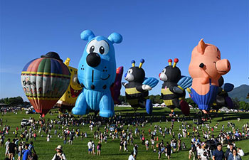 Hot air balloon festival held in China's Taiwan
