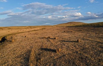 Scenery of grassland in Ar Horqin Banner of China's Inner Mongolia