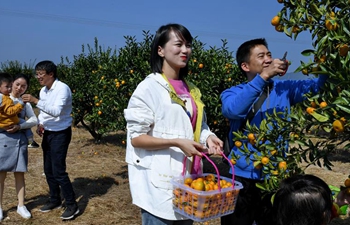 People celebrate harvest in China's Fujian