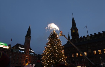 Christmas trees lit in Copenhagen, Denmark