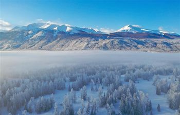 Winter scenery of Kanas River at Kanas scenic area in Altay, China's Xinjiang