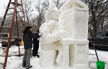 People take part in Illinois Snow Sculpting Competition
