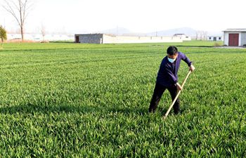 Villagers work in fields in Henan