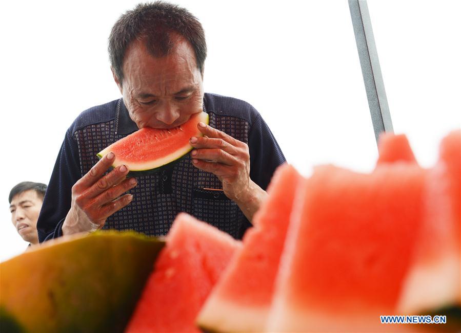 #CHINA-HENAN-WATERMELON-COMPETITION (CN)