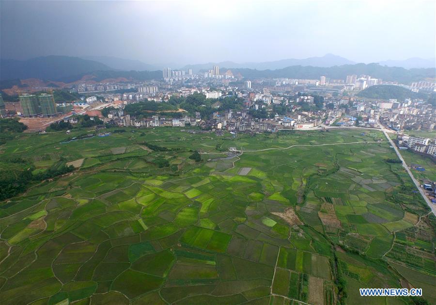 CHINA-GUANGXI-SANJIANG-RICE FIELDS(CN)