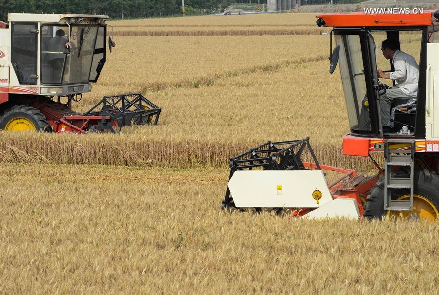 CHINA-HUANTAI-HARVEST(CN)