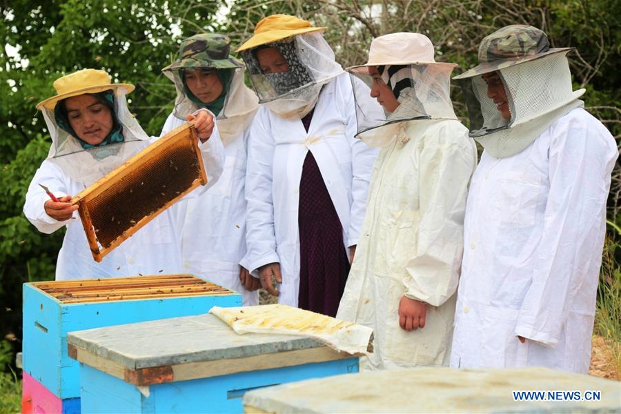 Afghan farmers work at a bee farm in Bamyan province, central Afghanistan, June 10, 2016.