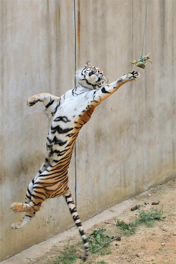 WEEKLY CHOICES OF XINHUA PHOTO