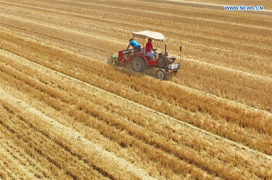 CHINA-HEBEI-AGRICULTURE (CN)