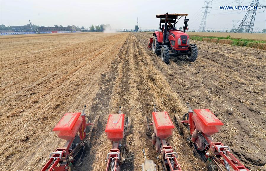 CHINA-HEBEI-AGRICULTURE (CN)