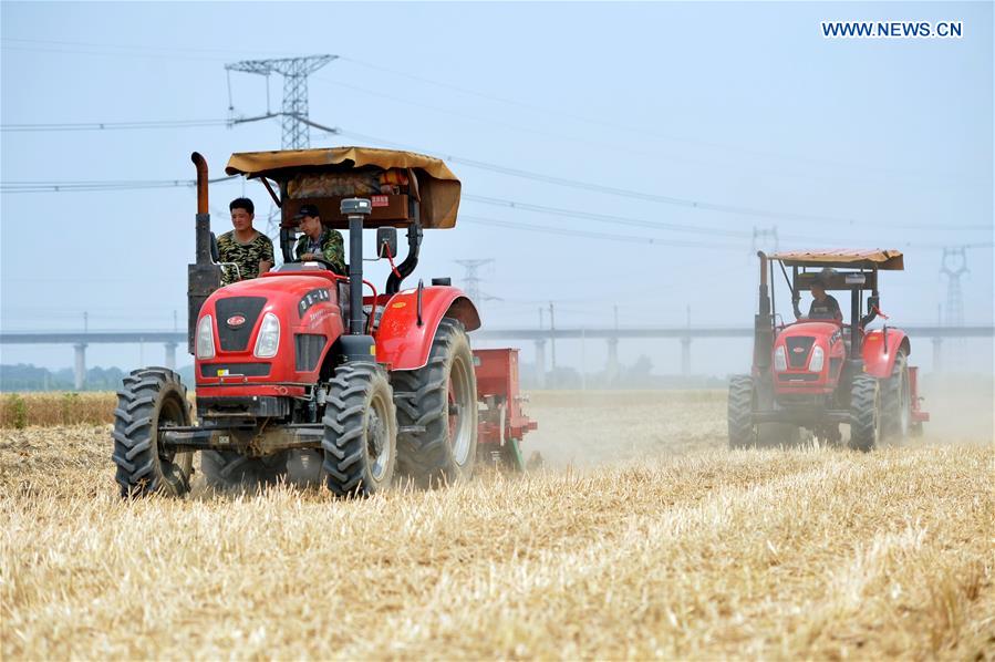 CHINA-HEBEI-AGRICULTURE (CN)
