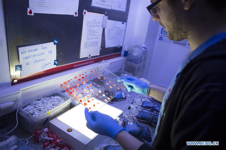 Image taken on June 10, 2016 shows bags with donated blood that will be divided in red globules, plasma and platelets in the laboratory of the Buenos Aires 'Hemocentro' (Blood Center) Foundation, in Buenos Aires, capital of Argentina. Image taken on June 10, 2016 shows bags with donated blood that will be divided in red globules, plasma and platelets in the laboratory of the Buenos Aires 'Hemocentro' (Blood Center) Foundation, in Buenos Aires, capital of Argentina.