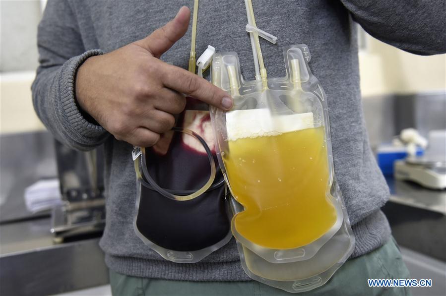 Photo taken on June 9, 2016 shows Lilian Garcia, a hemotherapy technician, doing tests on donor blood samples in Montevideo, capital of Uruguay