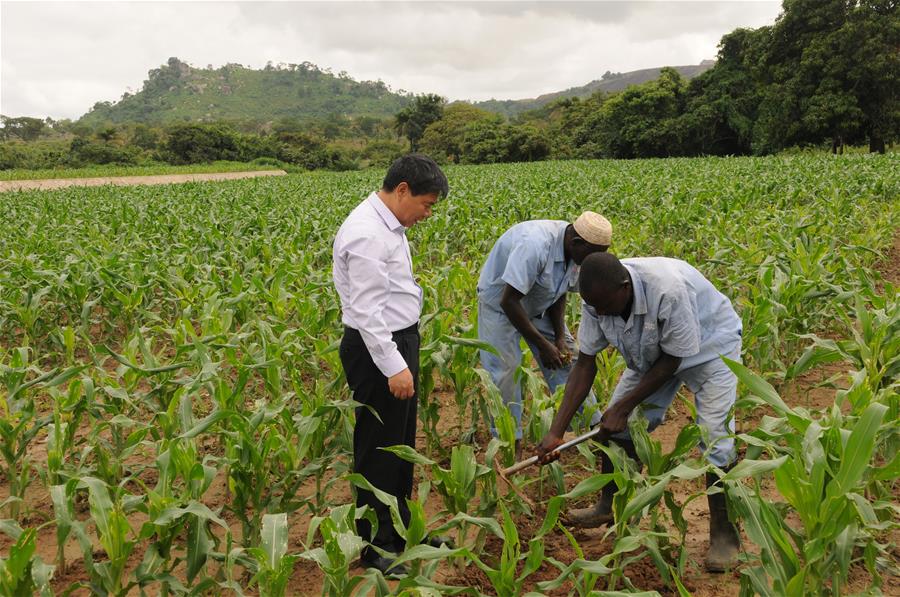 NIGERIA-ABUJA-CHINA-AGRICULTURE TRAINING