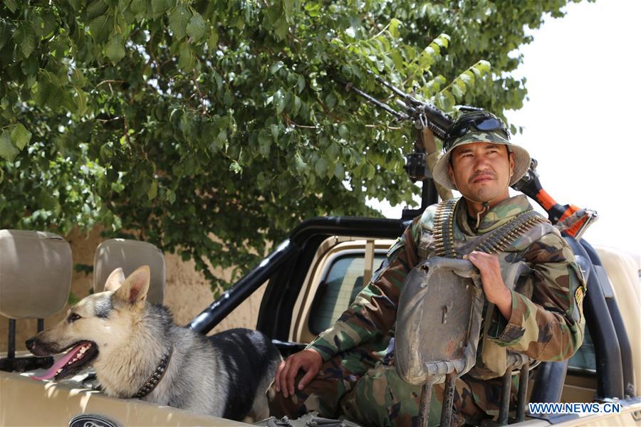 A soldier stands guard during a military operation in Ghazni province, Afghanistan, June 16, 2016. A soldier stands guard during a military operation in Ghazni province, Afghanistan, June 16, 2016.