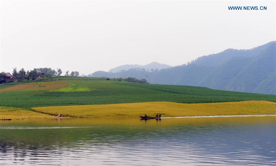 A boat anchors on the Yalu River in Lujiang Village of Zhenjiang Township in Dandong, northeast China's Liaoning Province, June 17, 2016. 