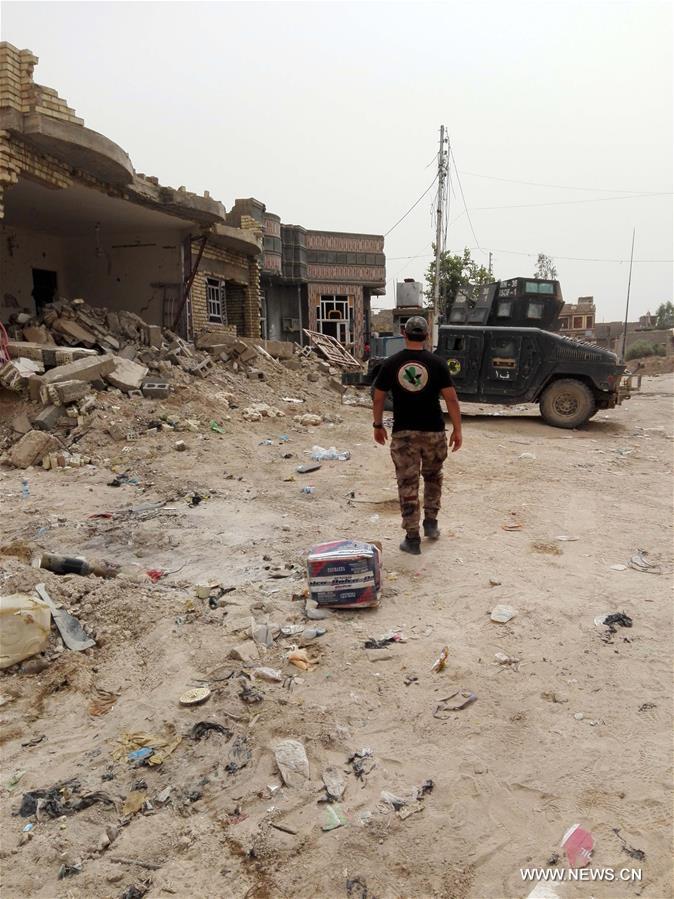 IRAQ-FALLUJA-FIGHT-VICTORY